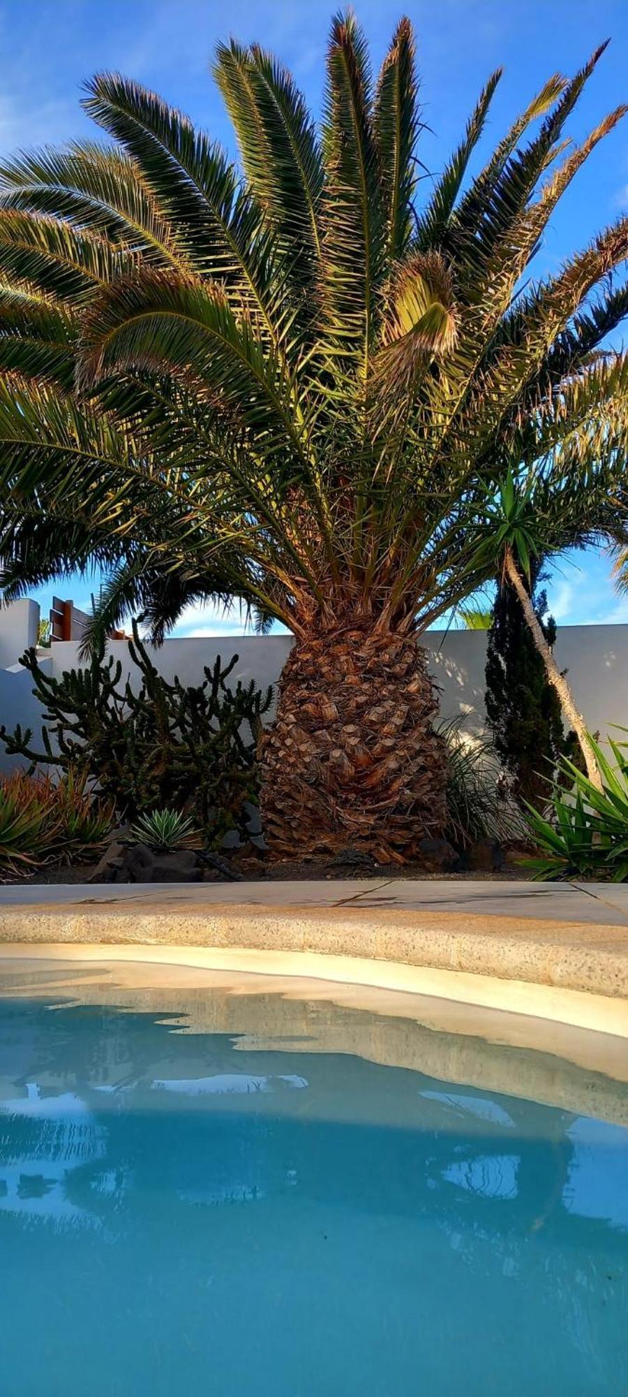 הוילה פלאיה בלנקה Casa Alizee, Heated Pool, Hot Tub מראה חיצוני תמונה